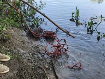 Весь берег був у смітті: у Стиру біля Луцька знайшли мішки з дротами. ВІДЕО