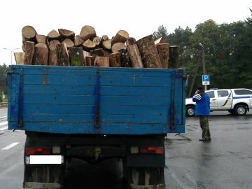 У Луцьку зупинили вантажівку з лісом
