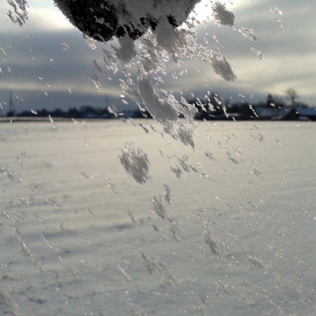 Краса волинської зими. ФОТО