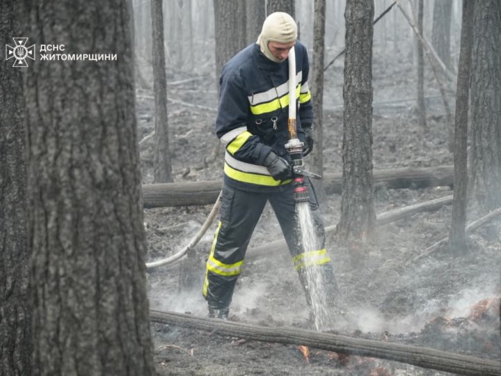 Лісова пожежа охопила сотні гектарів у заповіднику на Житомирщині