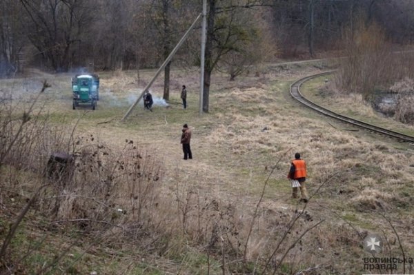 У Луцьку прибирають узбережжя Сапалаївки. ФОТО 