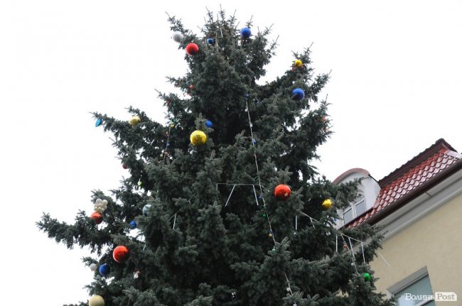 Забіг Миколаїв та прем’єра «ГаРмИдЕру». Добрі новини Волині