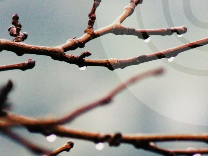 Якою буде погода на Волині 2 березня