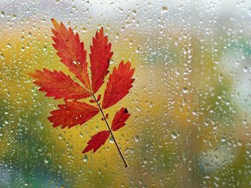 Погода в Луцьку та Волинській області на понеділок, 2 листопада