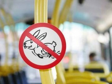 Минулого року у громадському транспорті Луцька виявили майже 12 тисяч «зайців»