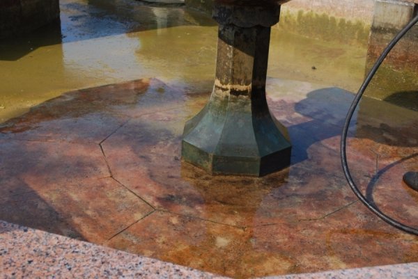 «Трофеї» луцьких фонтанів. ФОТО