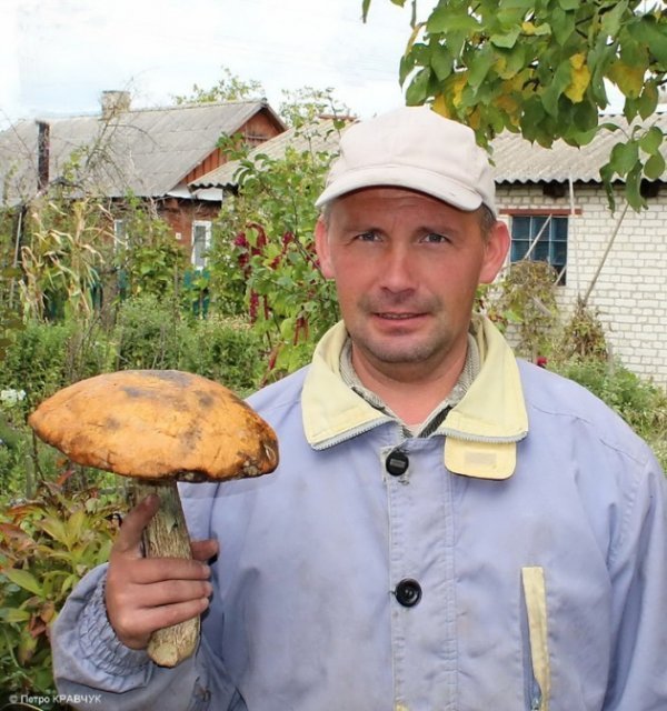 Волинянин знайшов кілограмового червоноголовця. ФОТО