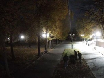 На Волині камери зафіксували вандалів у парку: просять впізнати