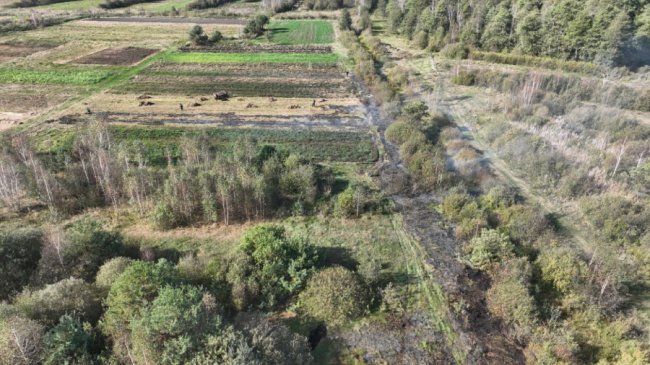 На Волині – масштабна пожежа на торф’янику