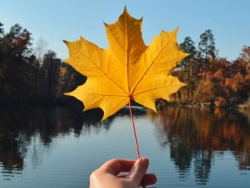 Погода в Луцьку та Волинській області на завтра, 13 жовтня