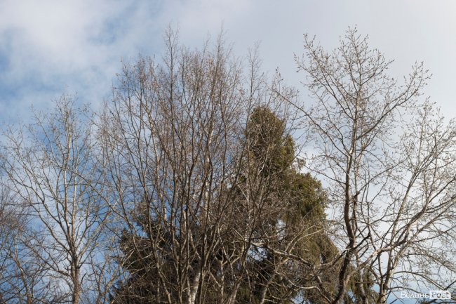 Учні першого на Волині міського шкільного лісництва побували у «волинській Швейцарії». ФОТО
