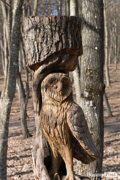 Учні першого на Волині міського шкільного лісництва побували у «волинській Швейцарії». ФОТО