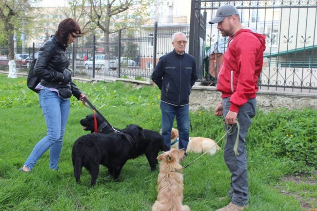 Релігійний флешмоб та масові толоки. Добрі новини Волині