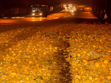 У Дніпрі на трасу висипалися тонни мандаринів. ФОТО