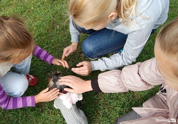 У Луцьку влаштували собаче свято. ФОТО