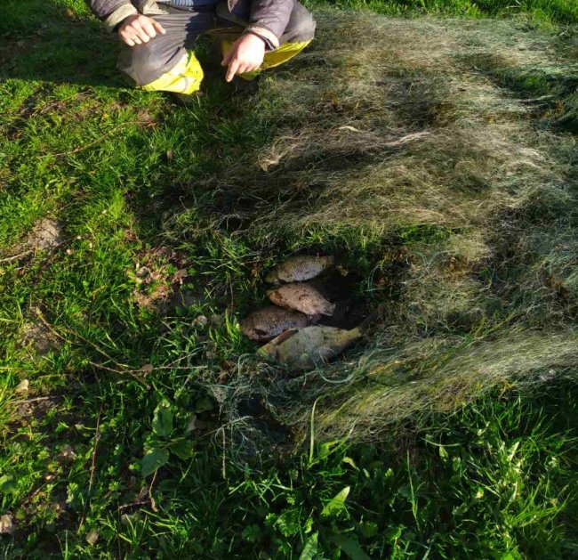 На Волині рибні браконьєри завдали шкоди на понад 40 тисяч гривень