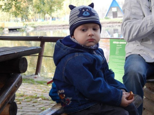 Осінь у Луцькому зоопарку. ФОТО