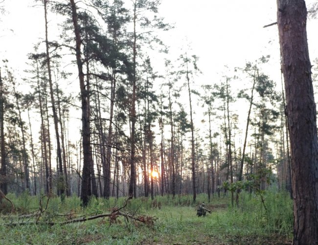 Як дрони волинської бригади нищать ворога