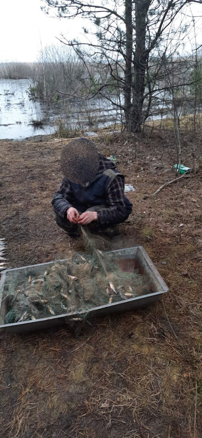 На волинському озері спіймали двох браконьєрів, які ловили рибу сітками. ФОТО 