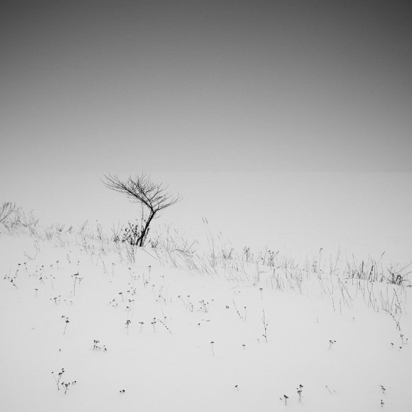 Фотовиставка Юрія Наумовича