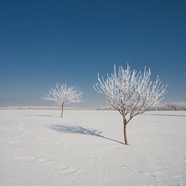 Фотовиставка Юрія Наумовича