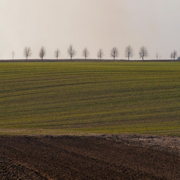 Фотовиставка Юрія Наумовича