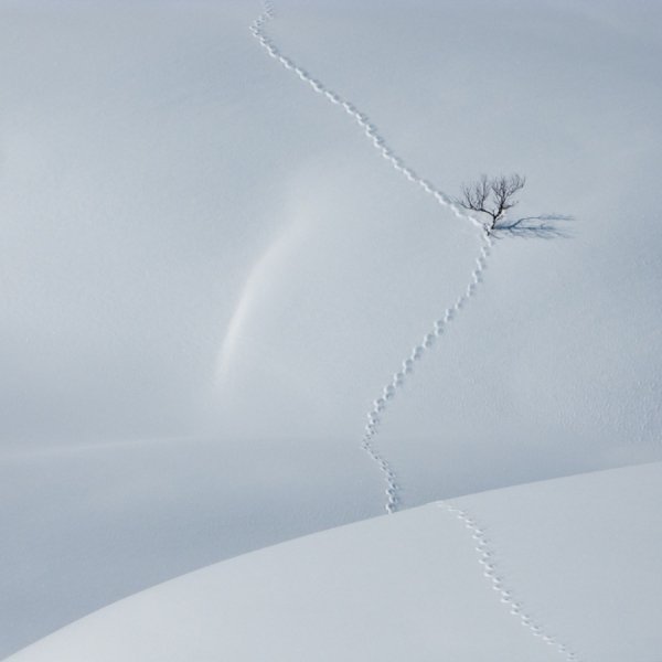 Захоплюючі знімки для любителів мінімалізму. ФОТО