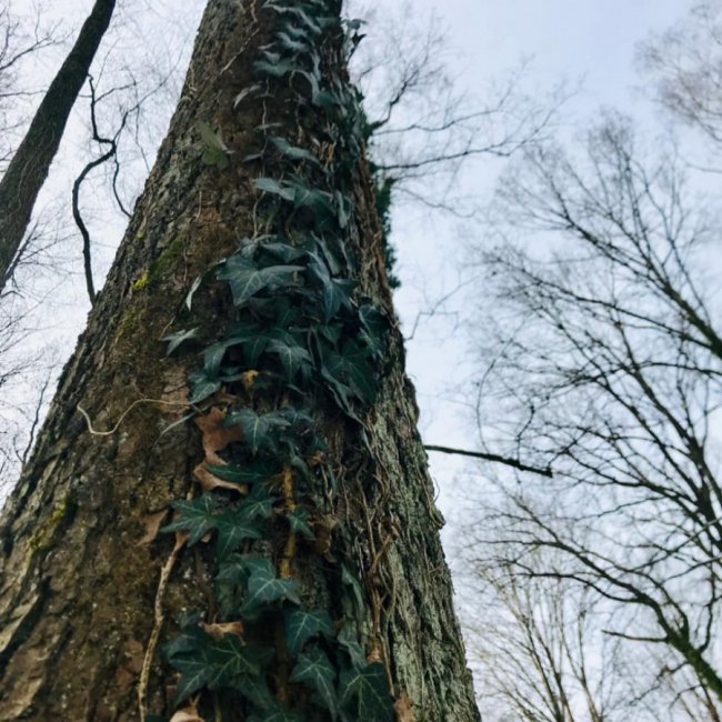 Закинуті хати та сліди скандинавського льодовика: невідома історія Шацького краю .ФОТО