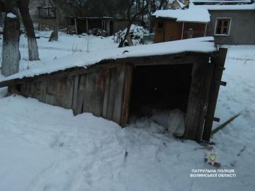 У Луцьку поліцейські знайшли 16-річну дівчину, котра замерзала на морозі