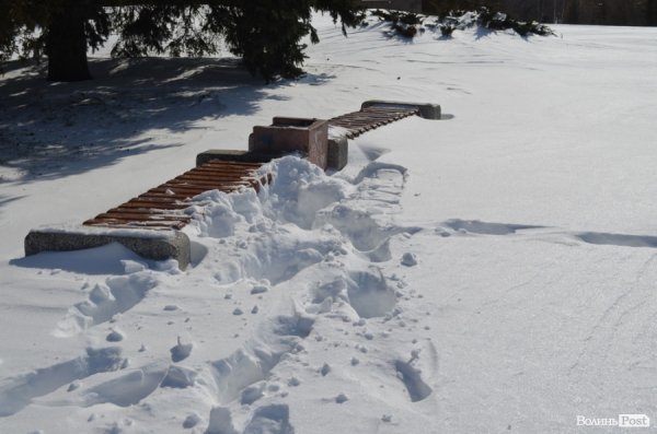 Луцьк після снігопаду. ФОТО