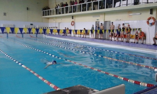 У Луцьку відбулись змагання з плавання. ФОТО