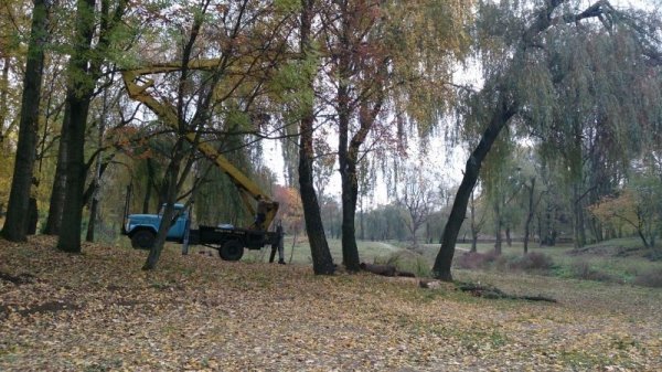 У парку Луцька облаштують легкоатлетичну «стежину здоров'я». ФОТО