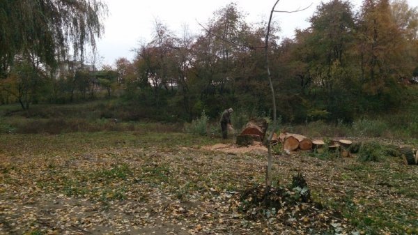 У парку Луцька облаштують легкоатлетичну «стежину здоров'я». ФОТО