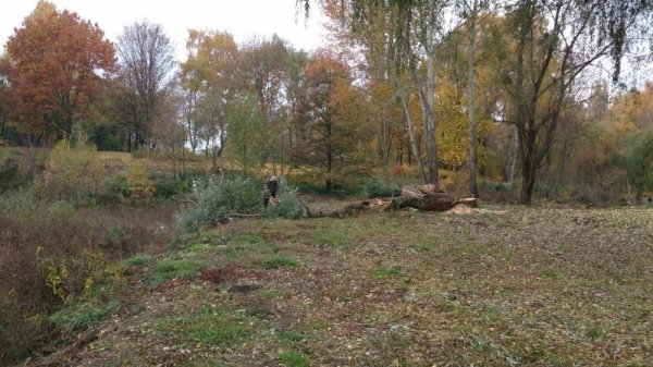 У парку Луцька облаштують легкоатлетичну «стежину здоров'я». ФОТО