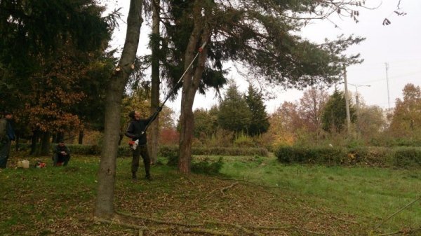 У парку Луцька облаштують легкоатлетичну «стежину здоров'я». ФОТО