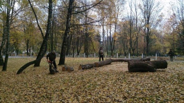 У парку Луцька облаштують легкоатлетичну «стежину здоров'я». ФОТО
