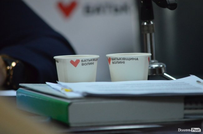 ВО «Батьківщина» висуватиме кандидатів на місцевих виборах у всіх радах Волині*