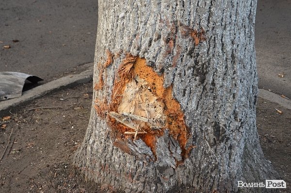 У Луцьку ‒ потрійна аварія. ФОТО