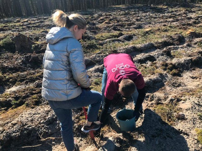 Користь для довкілля і «тімбілдингу»: фірма з Луцька у вихідний висадила гектар лісу. ФОТО