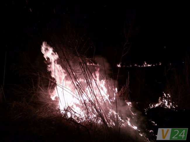 Невідомі намагалися підпалити луг у Луцьку