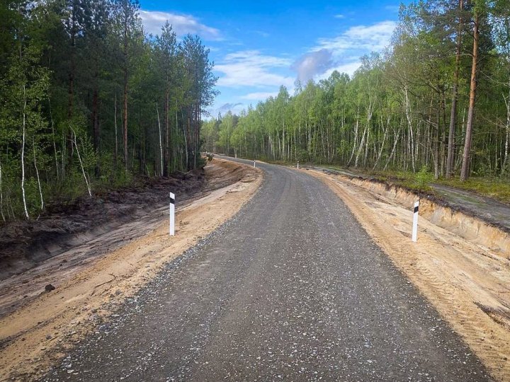 На Волині побудували кілька нових лісових доріг. ФОТО