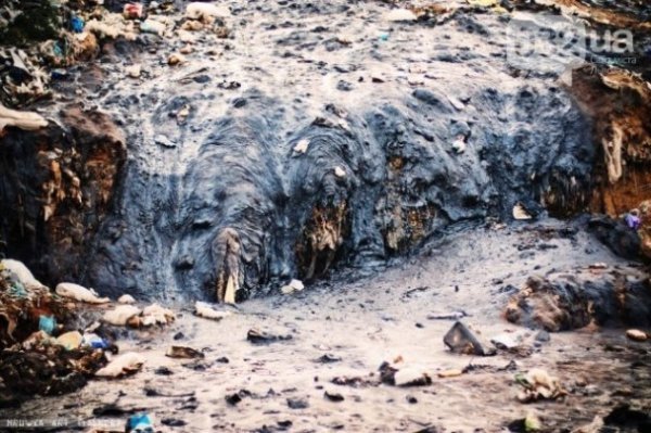 Львівські дівчата борються зі сміттям голими тілами. ФОТО