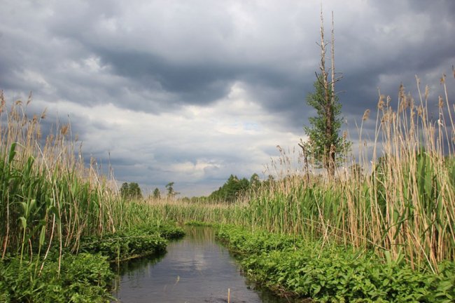 Наче Амазонка: як після дощів розлилася волинська річка. ФОТО