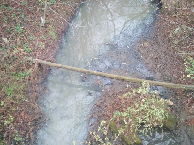 Змінила колір і смердить жомом: у Луцьку річка Жидувка потерпає від стоків цукрового заводу