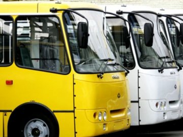 Повідомили, які перевізники обслуговуватимуть 5 луцьких маршрутів