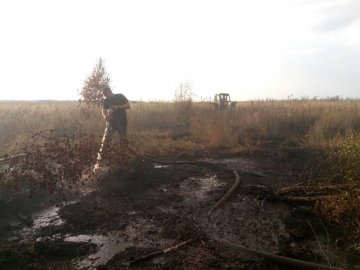 На Волині горіли чагарники та торфополя. ФОТО