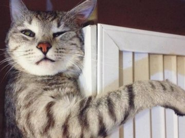 У Луцьку понад 80% тепломереж – зношені