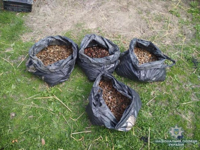 На Волині ліквідували цехи, де обробляли бурштин на експорт