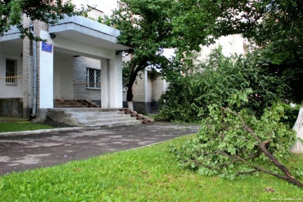 Стихія понищила дерева у Луцьку. ФОТО