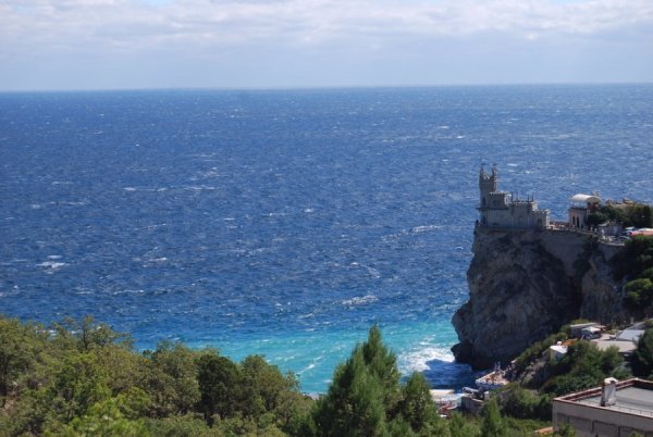 Ластівчине гніздо. Фото Dieter Zirnig CC BY-NC/Via Flickr: sugarmeloncom